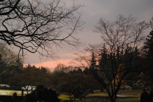 Tramonto al “Valentino”