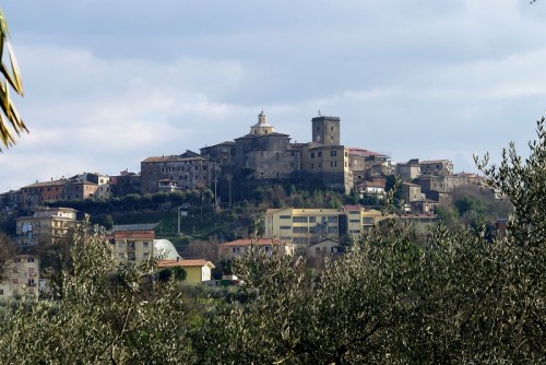 Pofi - Tra gli ulivi " POFI " Pofi - Tra gli ulivi " POFI "