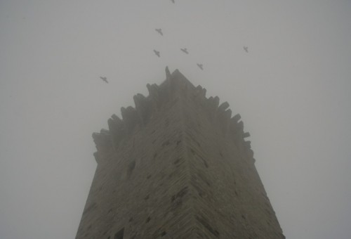 Olmo Gentile - Le guardie della Torre