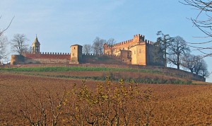 Il castello di Montemagno