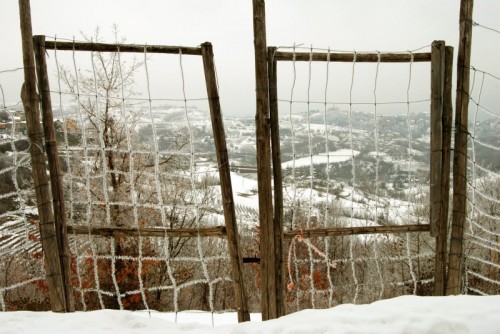 Cassinelle - Nel gelo Cassinelle