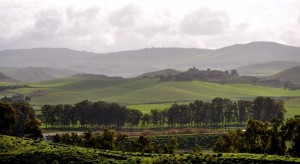 Il borgo e il laghetto!