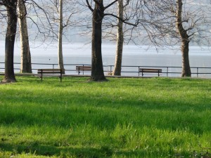 Uno scorcio di lago e un verde prato