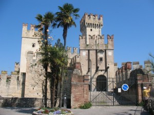 Rose sulle palme del Castello….