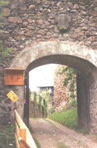 ingresso del castello  Regino