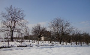 Strada Montebello: paesaggio rurale invernale