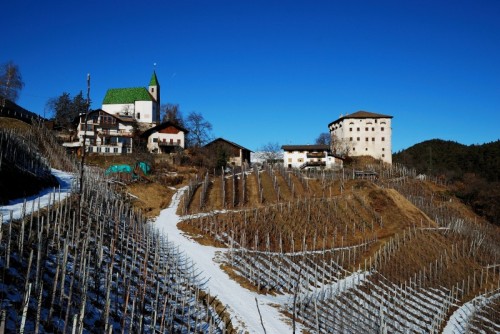 Tesimo - La più grande vigna d'Europa Tesimo - La più grande vigna d'Europa