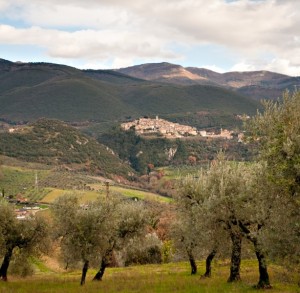 Casperia e gli Ulivi