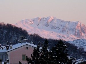 La casa camaleontica