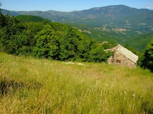 pascolo a Maissana