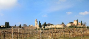 Castello di San Salvatore #1