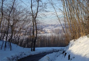 Veduta invernale di Carezzano dalla Strada dei Boschi