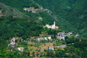 Orero fa rima con torero … olè