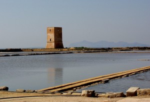 Torre Nubia