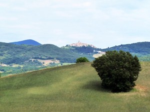 MONTICELLO AMIATA