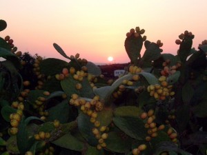 …troppo bella!!!!!!!!!!!!!!!!!!!!!