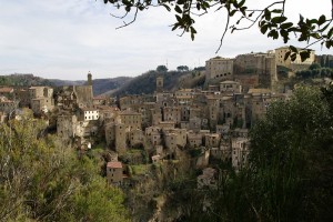 Uno scatto tra la natura