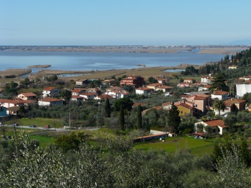 Massarosa - Massaciuccoli Massarosa - Massaciuccoli
