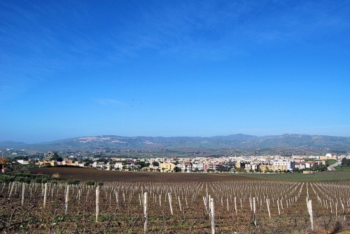 Gibellina - "gibellina nuova" Gibellina - "gibellina nuova"