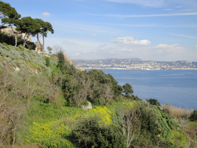 ''…non e’ un sogno…?…'' - Pozzuoli