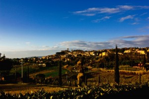 Montescudaio, perla toscana.