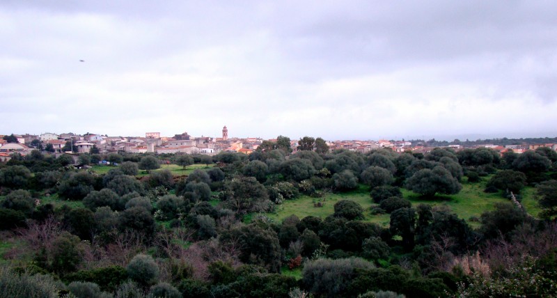 ''Nascosto tra la vegetazione'' - Paulilatino