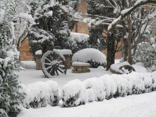 Mirano - Mirano con la neve Mirano - Mirano con la neve
