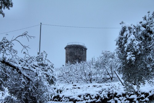 Pompeiana - Torre Fra Gli Olivi Innevati