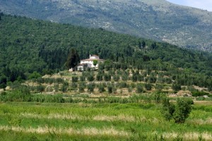 Nel verde di Travalle…una casa bianca