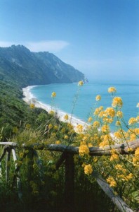 L’arco di bianco litorale pietroso di Mezzavalle,un patrimonio da salvaguardare