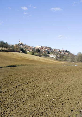 Pecetto di Valenza - Panorama di Pecetto di Valenza.