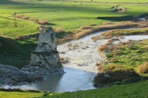 Picchio solitario roccioso “nel fiume Salso”