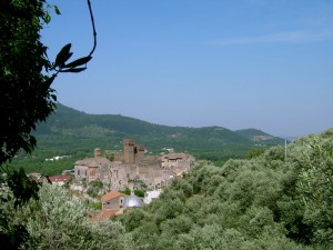 Tra olivi, castello e colline: Lauro