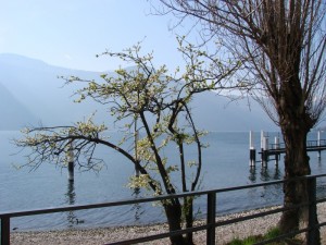 Primavera in anticipo