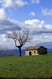 Particolari inconfondibili!