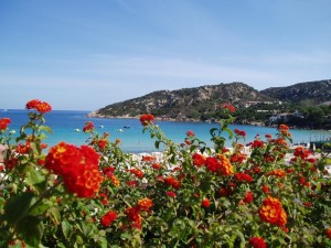 I colori di Baja Sardinia