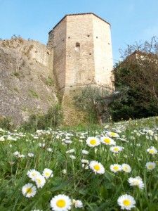 Il bastione di Montegridolfo