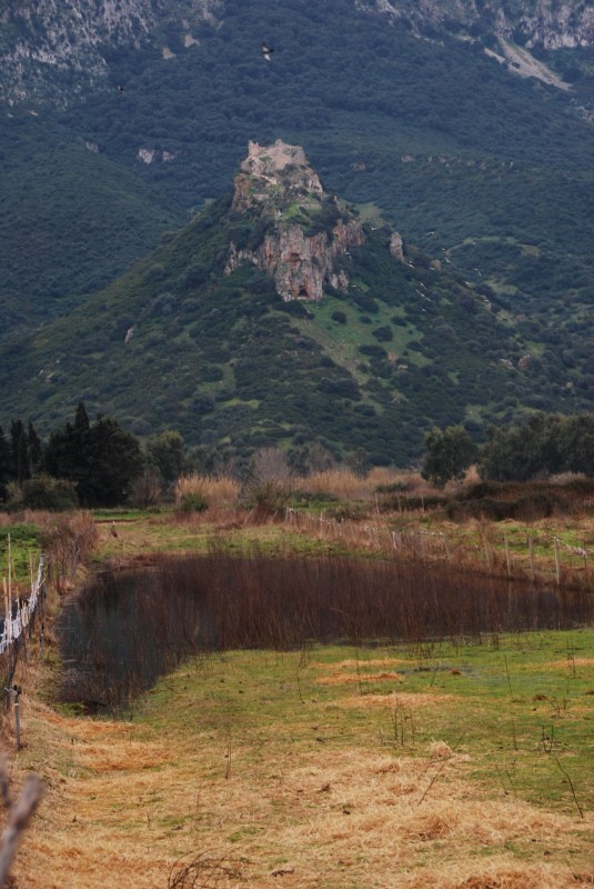 ''Il volo degli uccelli'' - Galtellì