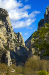 “IL Furlo” gola Granitica