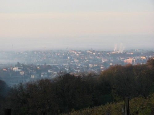 Lonigo - Lonigo tra la nebbia Lonigo - Lonigo tra la nebbia