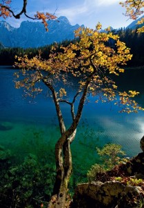 Lago di Fusine