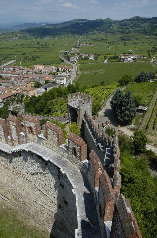 ''panorama dalla torre del castello'' - Soave