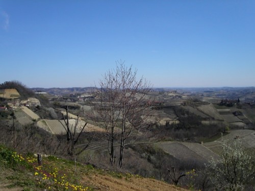 Montaldo Roero - panorama di Montaldo Roero Montaldo Roero - panorama di Montaldo Roero