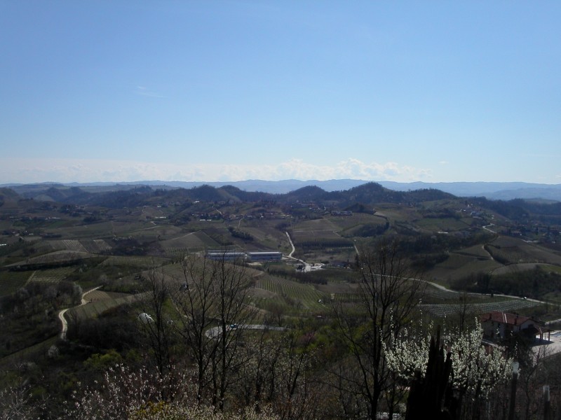 ''Montaldo Roero, panorama dalla torre'' - Montaldo Roero