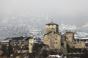 Corvi al castello….