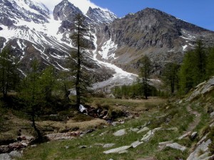Ceresole, verso la Levanna