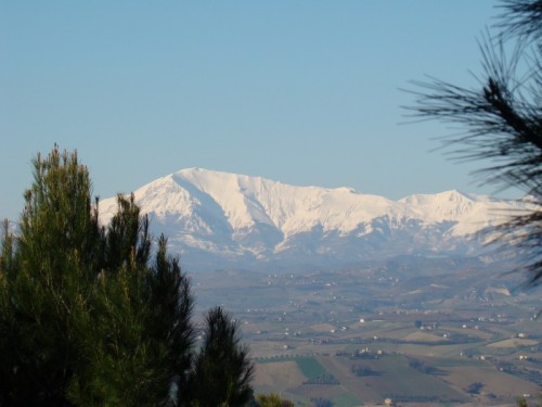 Acquaviva Picena - Monte Vettore visto da Acquaviva Picena