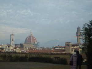 Ammirando Firenze