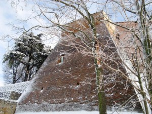 Dietro un merletto di rami gelati