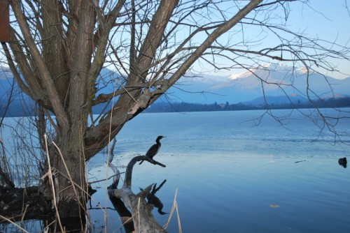 Avigliana - silenzi d'acqua Avigliana - silenzi d'acqua